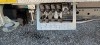 *AUF LAGER!* Iveco Daily Oil&Steel Snake 2010 H Plus - 250 kg - 20m - *NEU!*